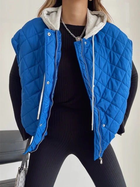 Fashion-Sleeveless-Jackets-Single-Breasted-Zip-Women-Vest-Blue-Green-Loose-Vests-Streetwear-Hooded-Quilted-Vest.jpg_640x640_c2fcddcd-6e42-43eb-9088-da961c0c51fd.webp